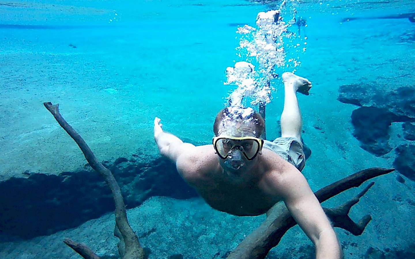 a free-diver snorkling underwater