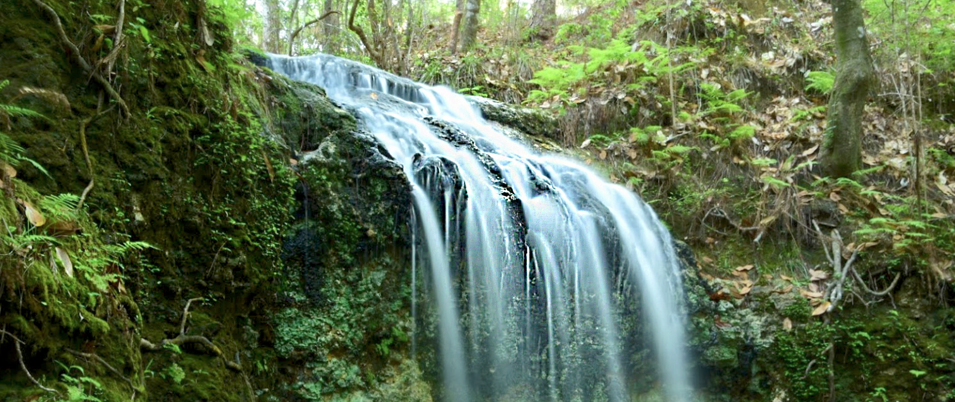time-lapse photo of the waterfall at falling waters state Park in Florida