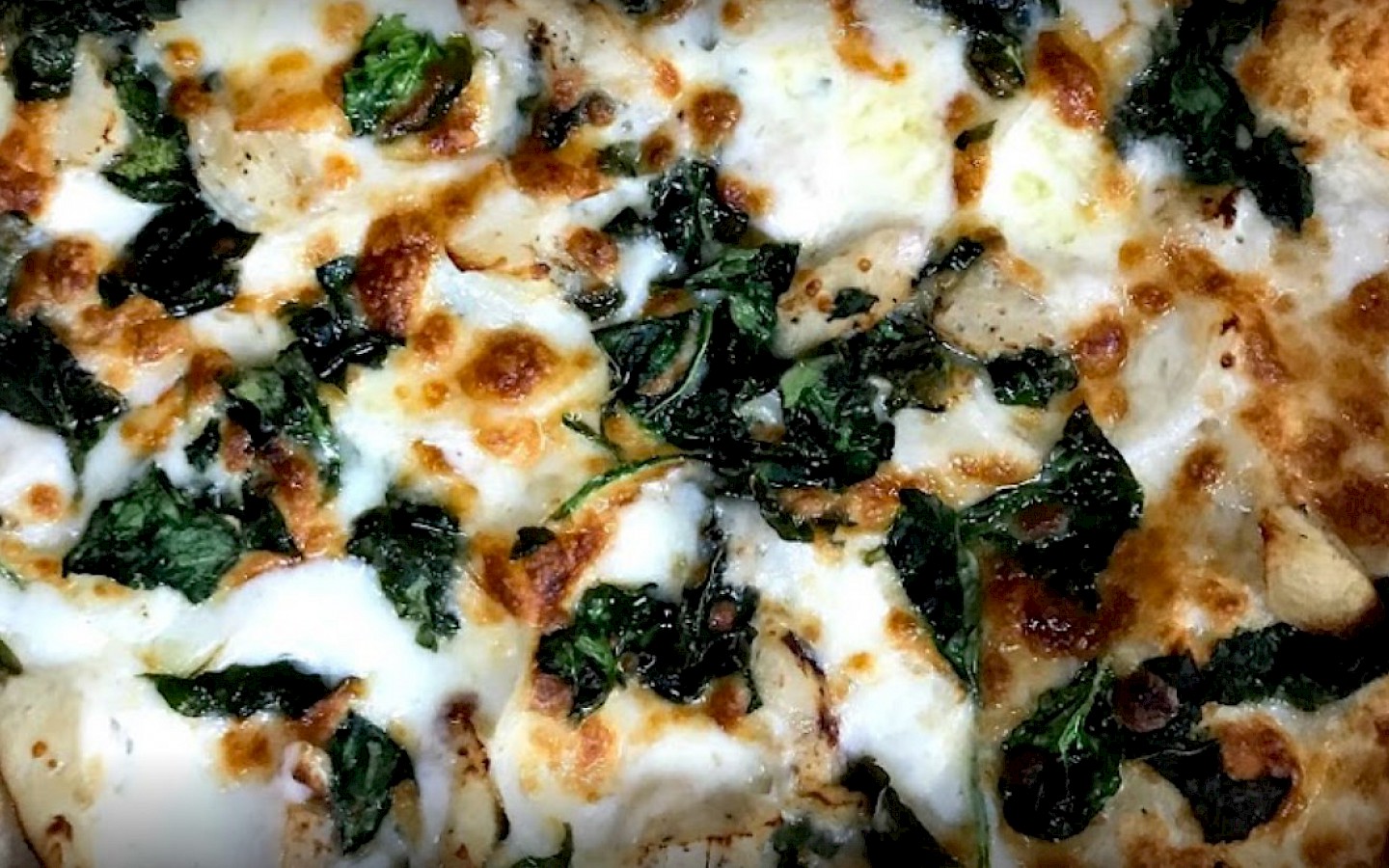 a pizza topped with mozzarella cheese and black olives