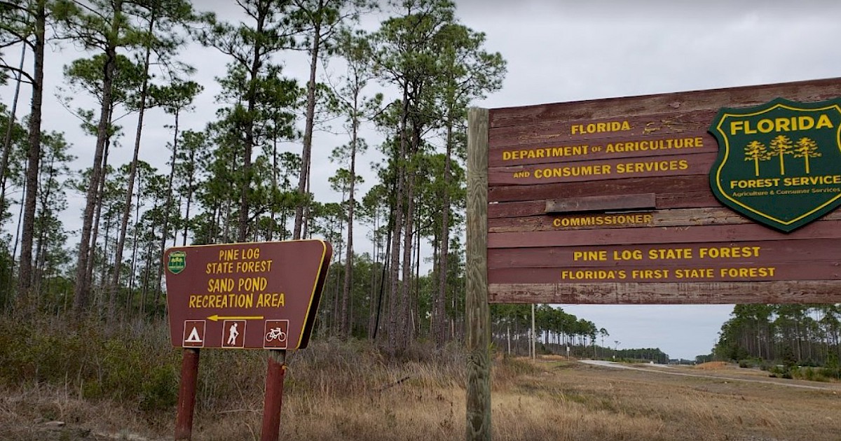 Pine Log State Forest Ebro, Florida