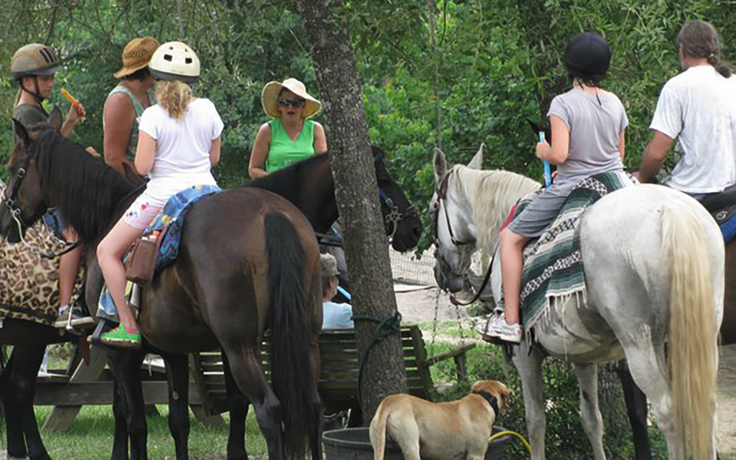 a group of visitors being instructed on horse back riding safety