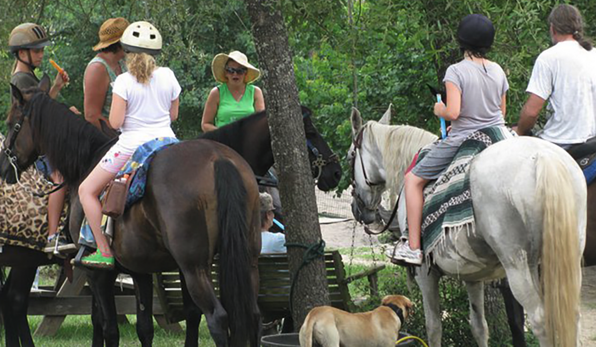 a variety of people on horses, being instructed on how to ride