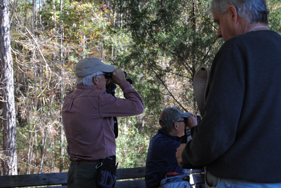 an older man wearing a baseball cap looking through binoculars
