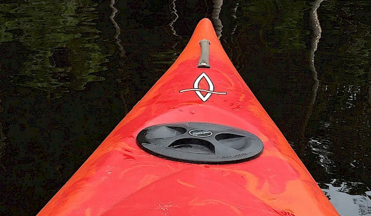 red kayak on the water heading towards the vegetation on the bank