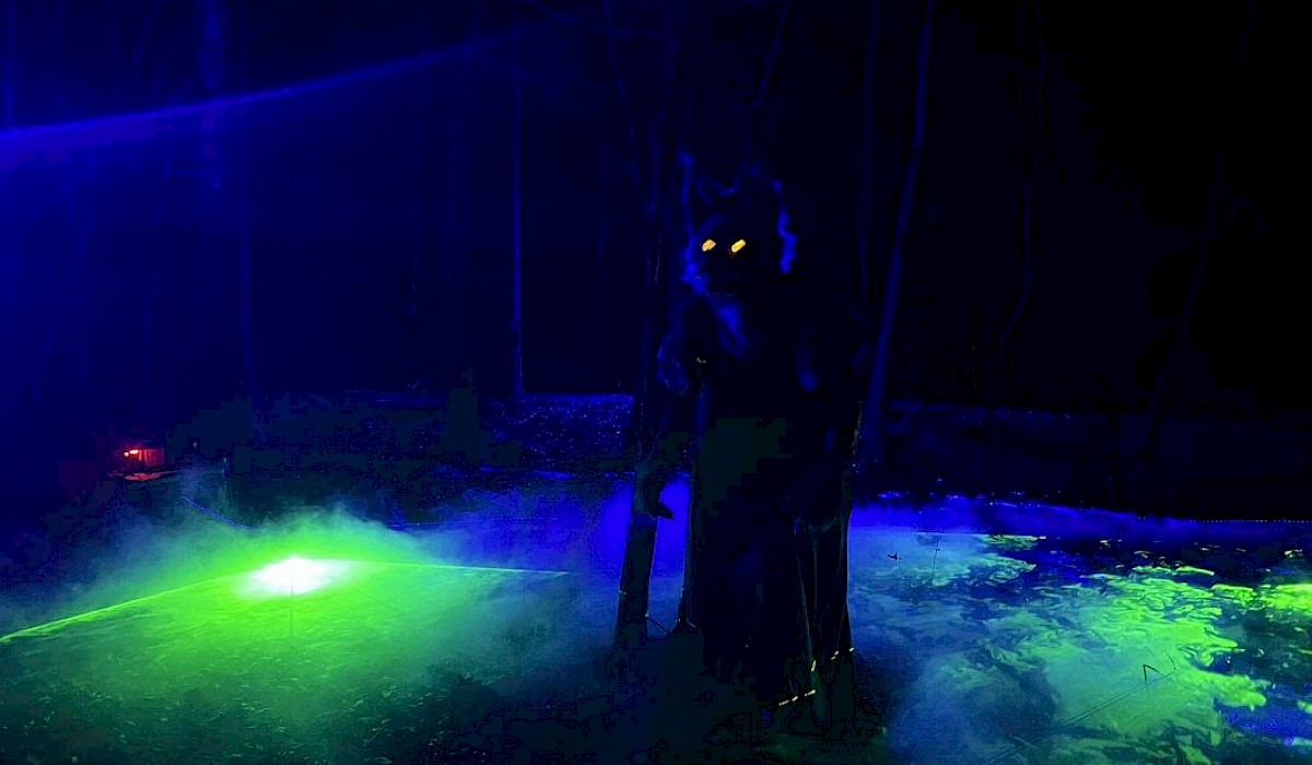 haunted wolf with glowing eyes in a dark wood